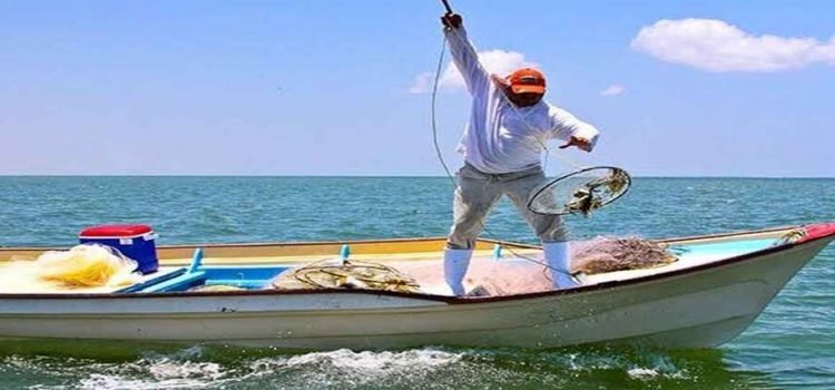 Tarjetas de Bienpesca sin dinero Tarjetas de Bienpesca sin dinero