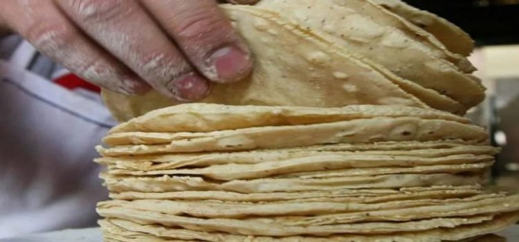 Profeco implementará operativos para que se respete el precio de la tortilla