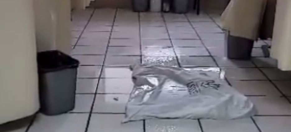 Goteras en Clínica del ISSSTE