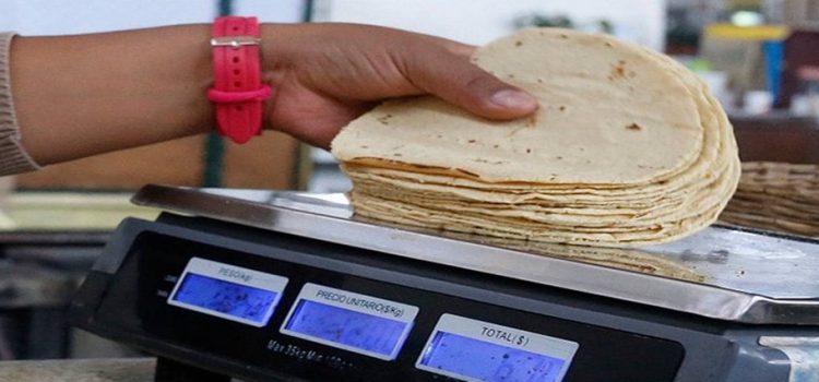 Nuevamente podría aumentar el precio de la tortilla en el estado