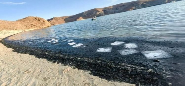 Su hija falsificó su firma y terminan por desalojarla de su casa Su hija falsificó su firma y terminan por desalojarla de su casa