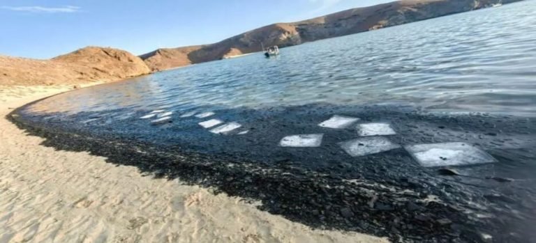 Su hija falsificó su firma y terminan por desalojarla de su casa