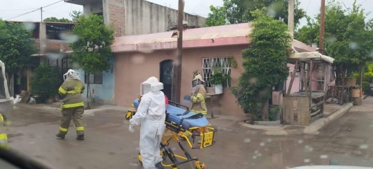 Adultos mayores son atacados por abejas