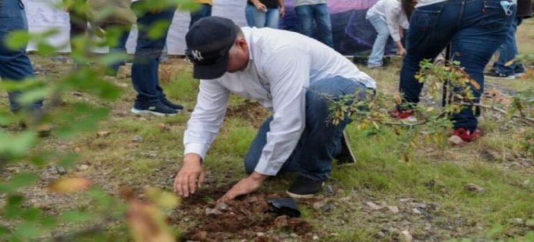 Reforestan el cerro de la memoria