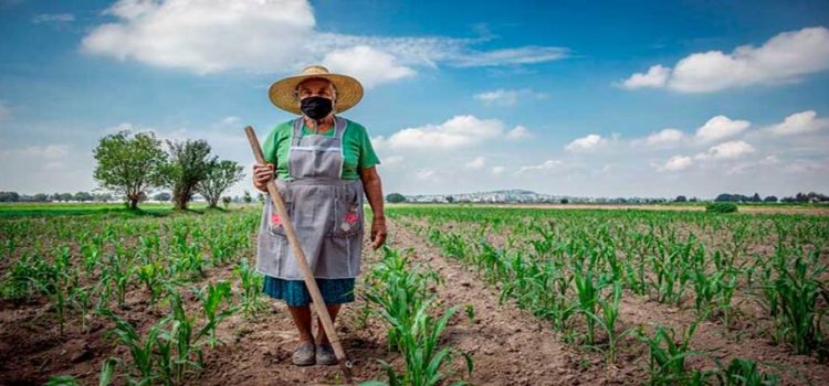 Lanzan convocatoria para el premio a la mujer rural 2022 en el estado