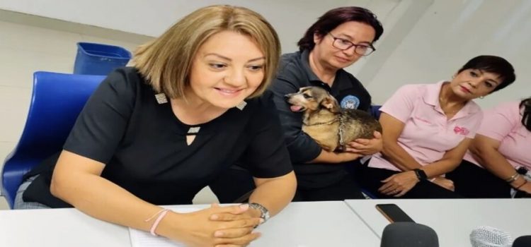 Realizarán el festival canino en Los Mochis