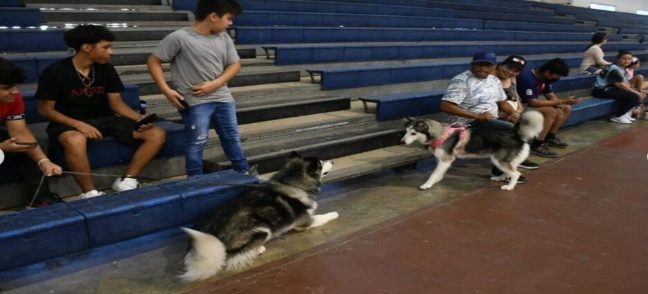 El evento 'Una causa por amor' tuvo una baja respuesta de los ciudadanos
