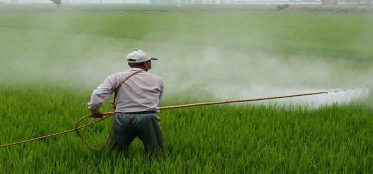 Agricultores piden que les deje seguir usando el glifosato Agricultores piden que les deje seguir usando el glifosato