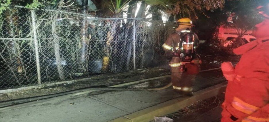 Se incendiaron las palmeras en los patios del Ingeniero Azucarero