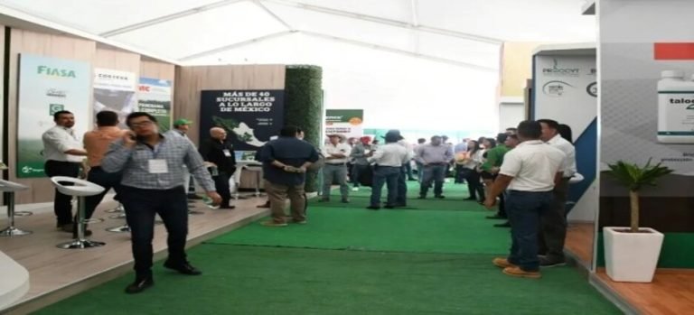 Comienza el Congreso Nacional de Papa 2022