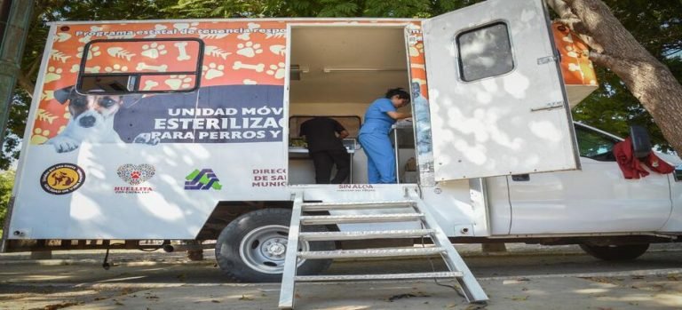 La Unidad Móvil de Esterilizaciones, está activa en Los Mochis