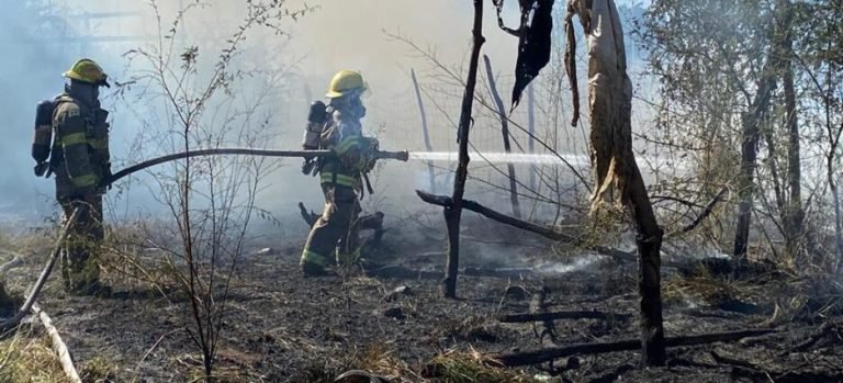 Viviendas de cartón en invasión acabaron en cenizas