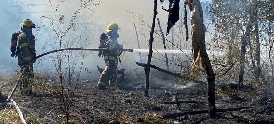 Viviendas de cartón en invasión acabaron en cenizas