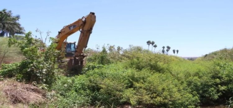 Previo a la temporada de lluvias se intensifican la limpieza de canales y drenes
