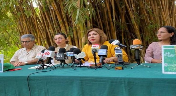 Sinaloa será parte del Reto Naturalista Urbano City Nature Challenge