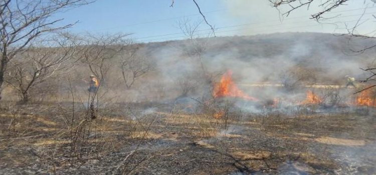 Sinaloa es parte de los estados con más riesgo de incendio forestal del país