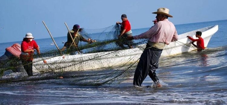 Pescadores del centro del estado buscan acceder al programa de Bienpesca federal