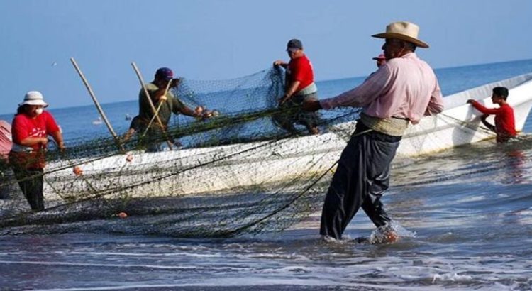 Pescadores del centro del estado buscan acceder al programa de Bienpesca federal