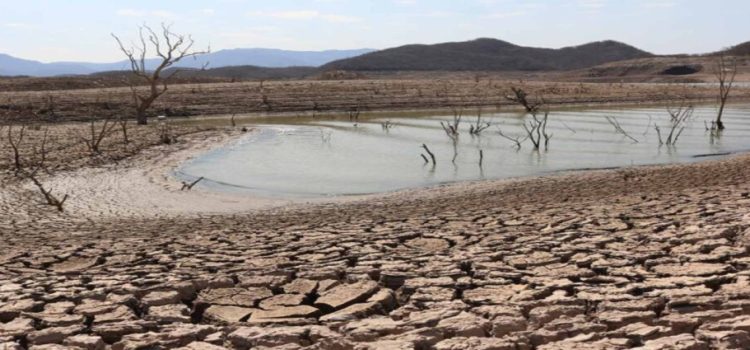 Más de 200 comunidades del estado afectadas por la sequía