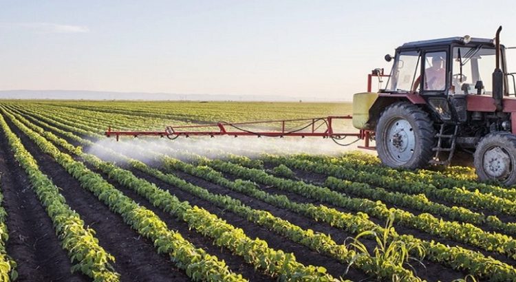 Sinaloa solo tiene 2.8 millones de hectáreas como uso agrícola