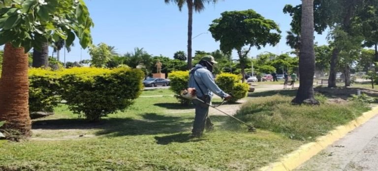 Ayuntamiento reduce inversión en mantenimiento de parques y jardines