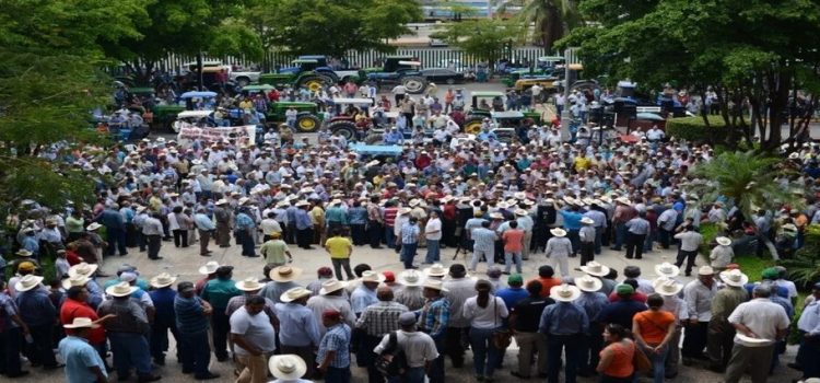 Productores agrícolas de Sinaloa niegan que les estén comprando