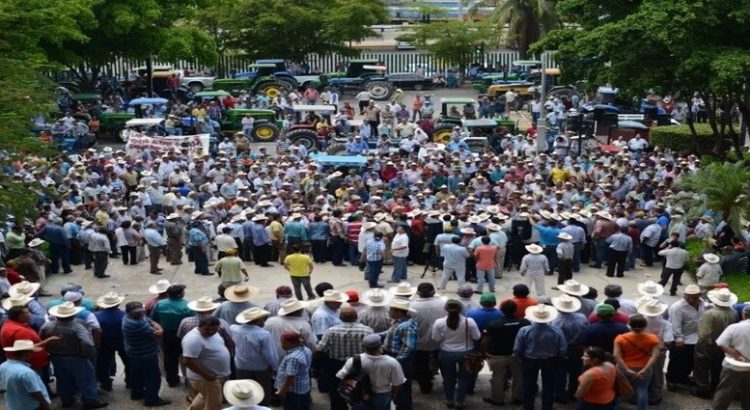 Productores agrícolas de Sinaloa niegan que les estén comprando