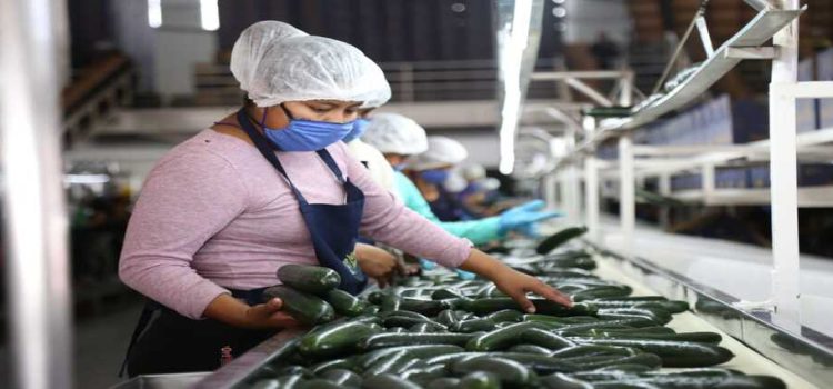En Sinaloa se generaron 21mil nuevos empleos en mayo