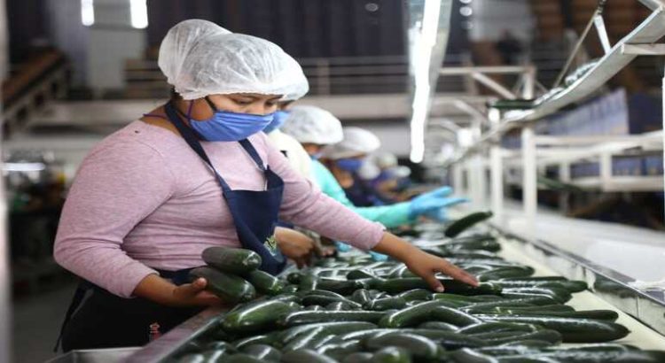 En Sinaloa se generaron 21mil nuevos empleos en mayo