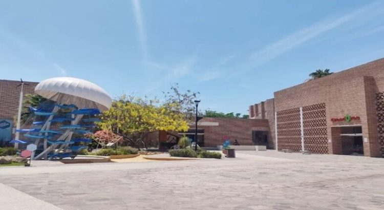 El Museo Interactivo Trapiche invita a su campamento de verano