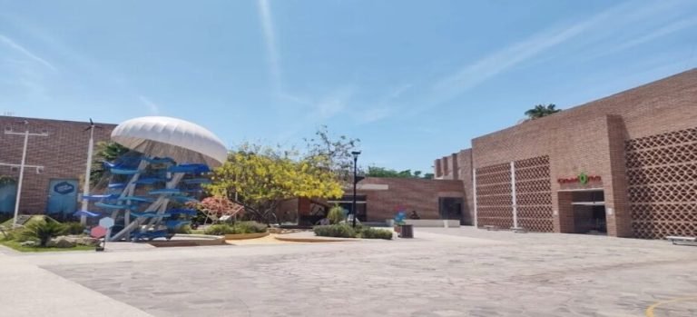 El Museo Interactivo Trapiche invita a su campamento de verano