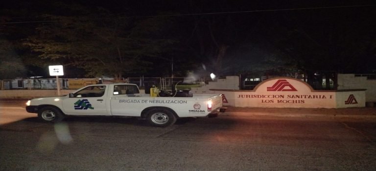 Solo fumigarán las zonas con casos sospechosos de dengue