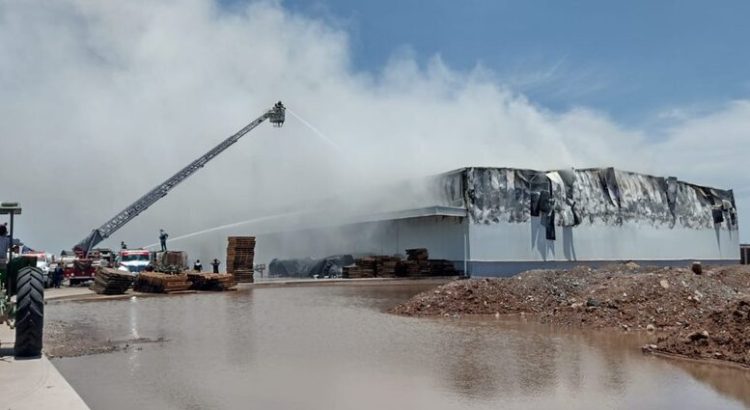 Fuego consumió seis mil toneladas de garbanzo