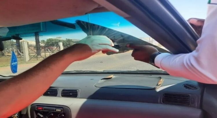 Prohíben el uso de vehículos polarizados en vehículos de funcionarios de Sinaloa