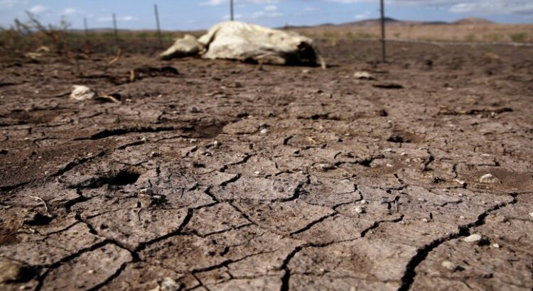 En el año 15 municipios se vieron afectados por la sequía severa