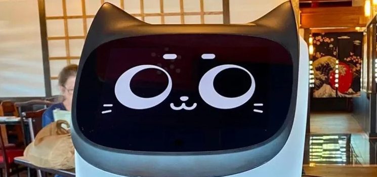 Gato, mesero y robot Gato, mesero y robot