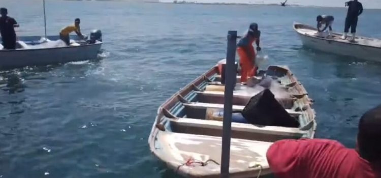 Pescador pierde la vida al chocar contra una patrulla interceptora de la Marina