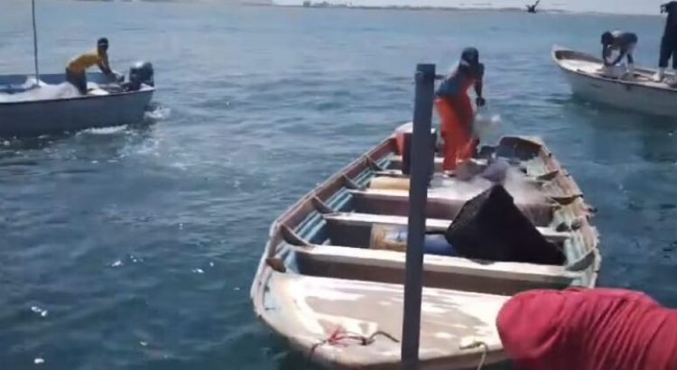 Pescador pierde la vida al chocar contra una patrulla interceptora de la Marina