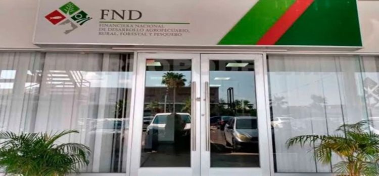 100 productores de Ahome fueron estafados por un funcionario