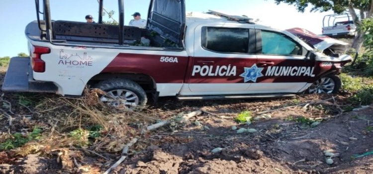 Al evitar arrollar a un perrito terminan impactándose con un árbol