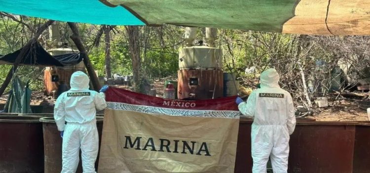 Semar destruyó cuatro laboratorios clandestinos en diferentes municipios de Sinaloa
