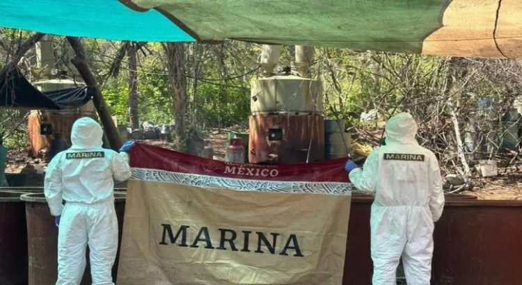 Semar destruyó cuatro laboratorios clandestinos en diferentes municipios de Sinaloa