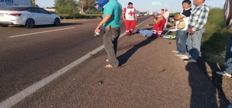Motociclista perdió la vida tras ser arrollado en la carretera federal México 15