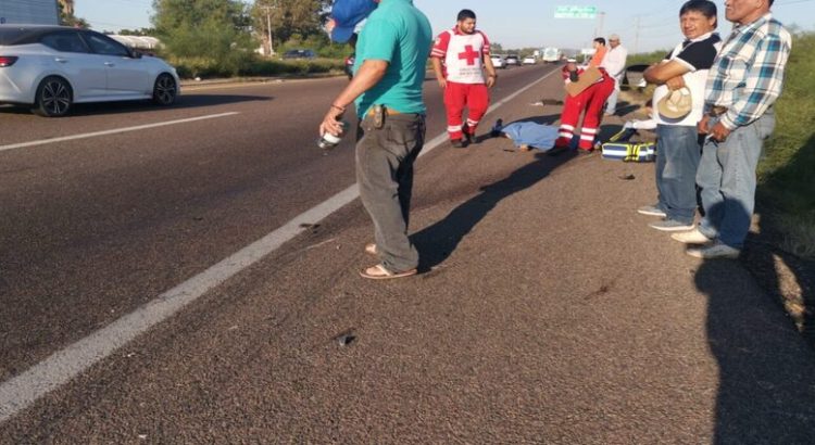 Motociclista perdió la vida tras ser arrollado en la carretera federal México 15