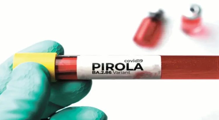 Descartan la presencia de la nueva variante de Covid-19 conocida como Pirola en Sinaloa