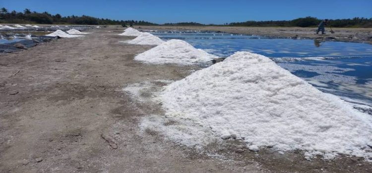Sinaloa incursiona en la producción de sal de mar con un proyecto novedoso