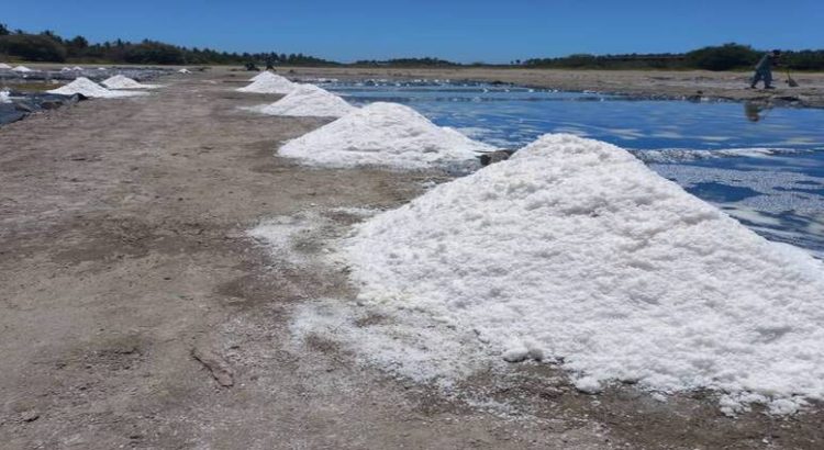 Sinaloa incursiona en la producción de sal de mar con un proyecto novedoso