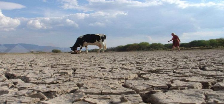 La sequía tendrá un impacto económico en Sinaloa de 15 mil mdp