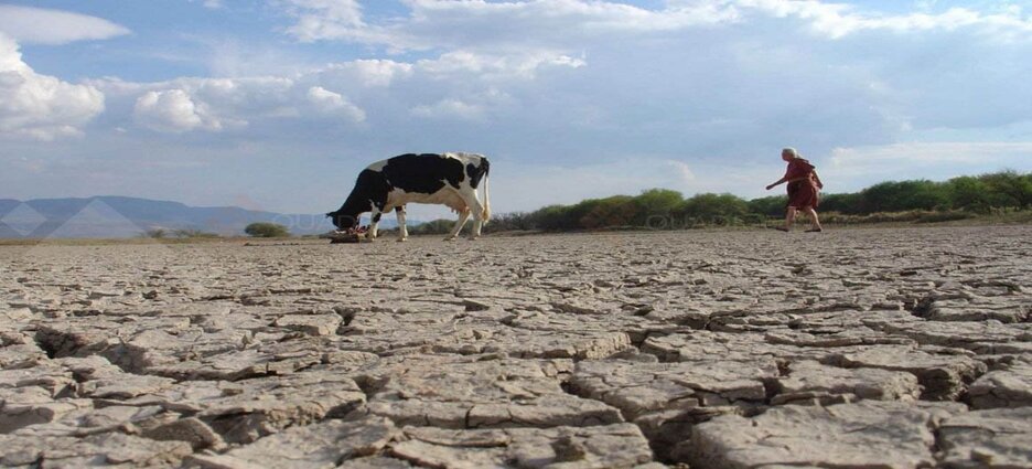 La Sequía Tendrá Un Impacto Económico En Sinaloa De 15 Mil Mdp