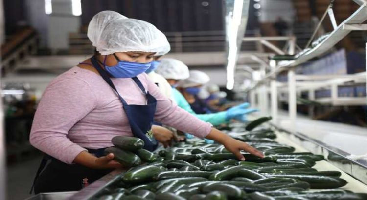 Sinaloa lidera el crecimiento laboral en México durante febrero